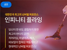 경주세계엑스포(플라잉공연) 방문전 사전문의