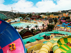 캘리포니아비치 